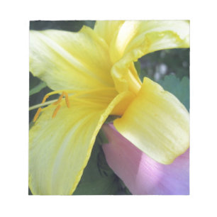Gult Lily Anteckningsblock