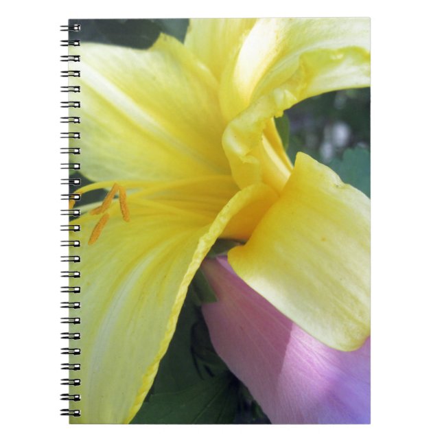 Gult Lily Anteckningsbok (Framsidan)