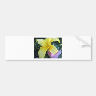 Gult Lily Bildekal