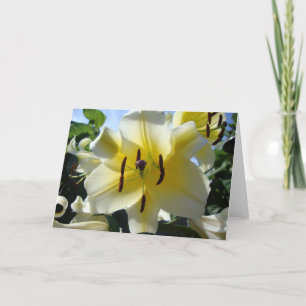Gult Lily Blank Greeting Card Kort