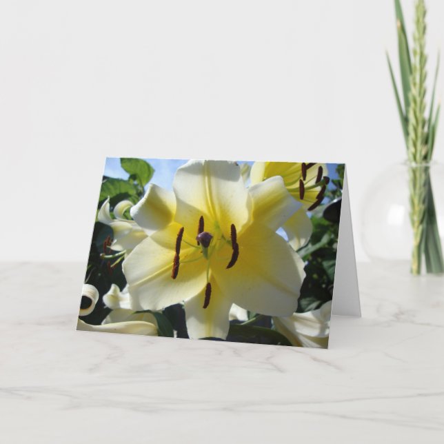 Gult Lily Blank Greeting Card Kort (Framsida)
