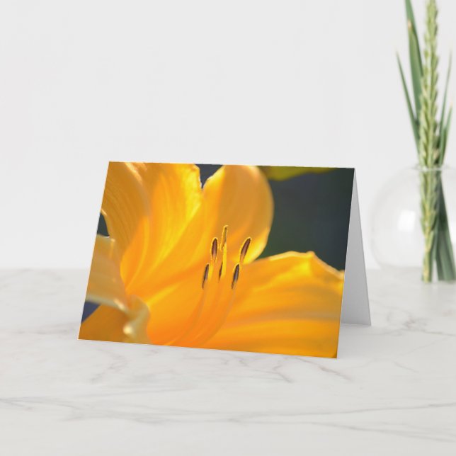 Gult Lily Blank Greeting Card Kort (Framsida)