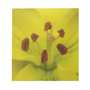 Gult Lily Blommigt Anteckningsblock
