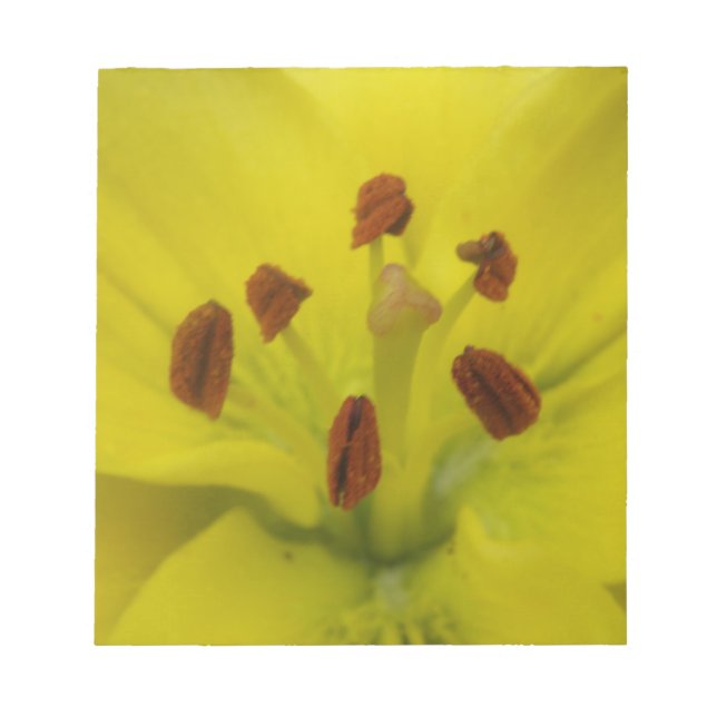 Gult Lily Blommigt Anteckningsblock (Framsida)