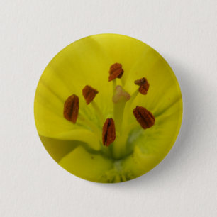 Gult Lily Blommigt Button Knapp