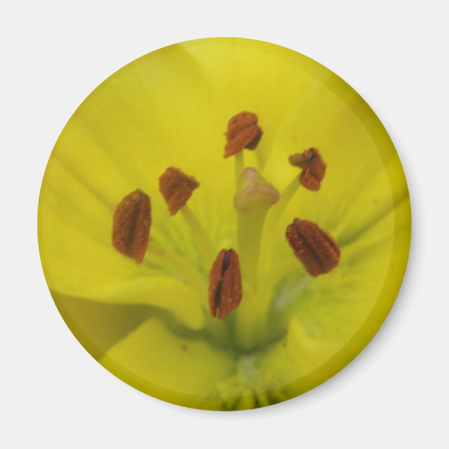 Gult Lily Blommigt Magnet (Framsidan)
