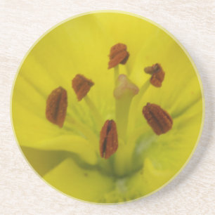 Gult Lily Blommigt Underlägg Sandsten
