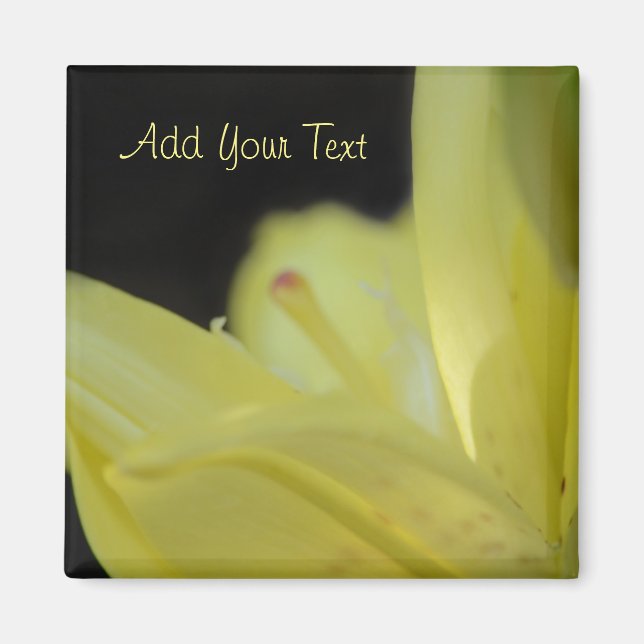 Gult Lily by Shirley Taylor Magnet (Framsidan)