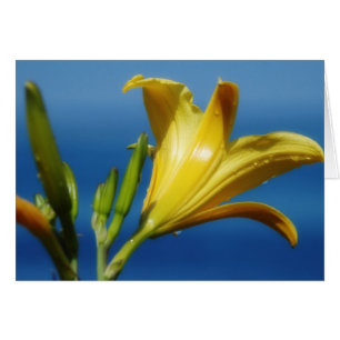 Gult Lily Card Hälsningskort