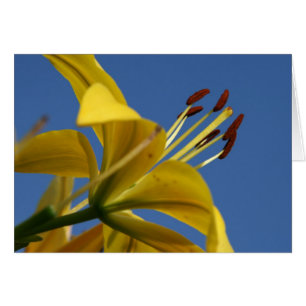 Gult Lily Card Hälsningskort