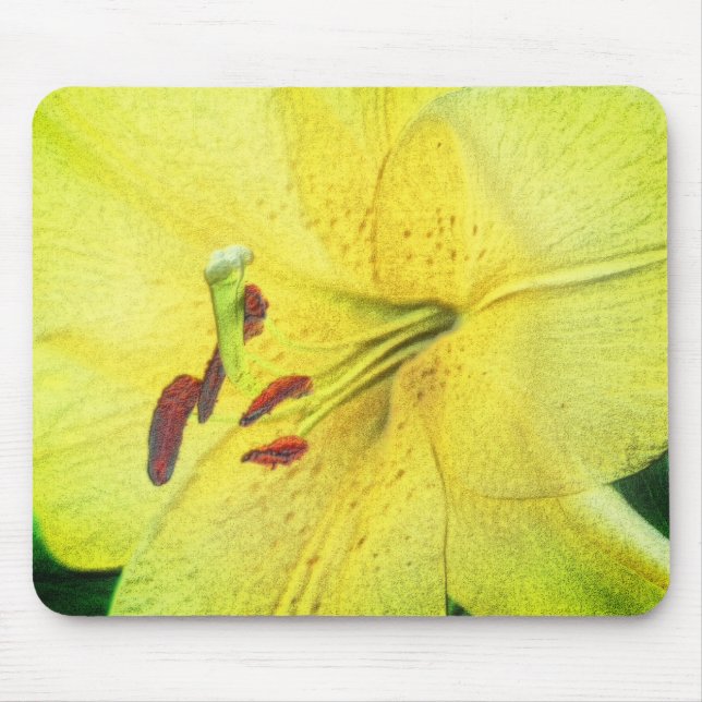 Gult Lily Flower Pencil Art Musmatta (Framsidan)