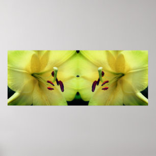 Gult Lily Flower Petals Spegel Abstrakt Poster