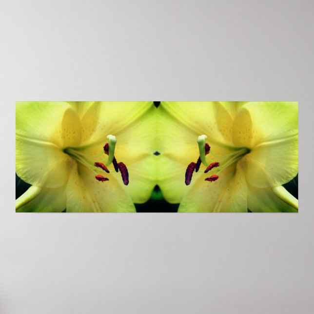 Gult Lily Flower Petals Spegel Abstrakt Poster (Framsidan)