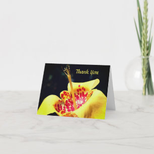 Gult, Lily Flower Tackor-tack-kort Tack Kort