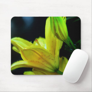 Gult Lily med Vind Effect by Shirley Taylor Musmatta