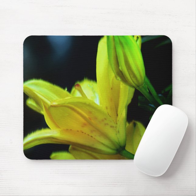 Gult Lily med Vind Effect by Shirley Taylor Musmatta (Med mus)