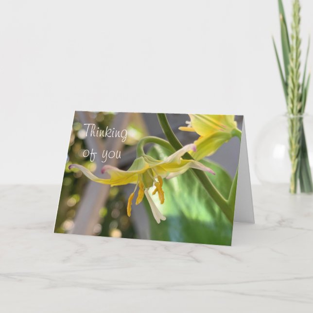 Gult Lily tänker på ditt kort (Framsida)