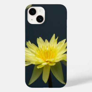 Gult Lotus Waterlily