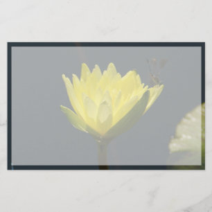 Gult Lotus Waterlily Flower