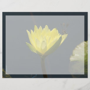 Gult Lotus Waterlily Flower