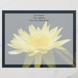 Gult Lotus Waterlily Flower Brevhuvud