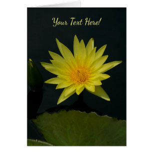 Gult Lotus Waterlily Hälsningskort