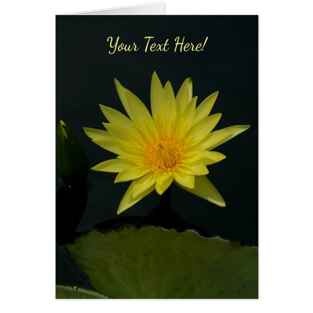 Gult Lotus Waterlily Hälsningskort (Framsidan)