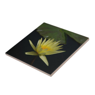 Gult Lotus Waterlily Kakelplatta