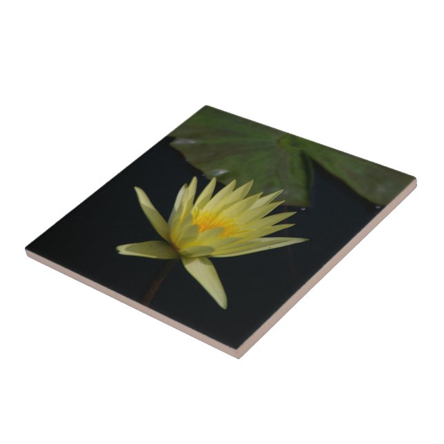 Gult Lotus Waterlily Kakelplatta (Sidan)