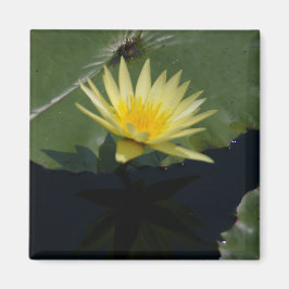 Gult Lotus Waterlily magnet
