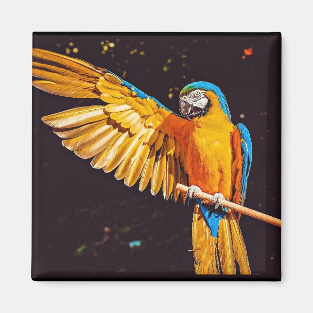 Gult Macaw Parrot Magnet (Framsidan)
