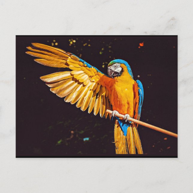 Gult Macaw Parrot Magnet Vykort (Framsida)