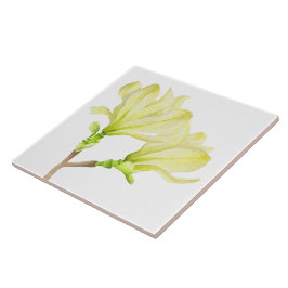 Gult Magnolias on Ceramic Tile (1 W) Kakelplatta
