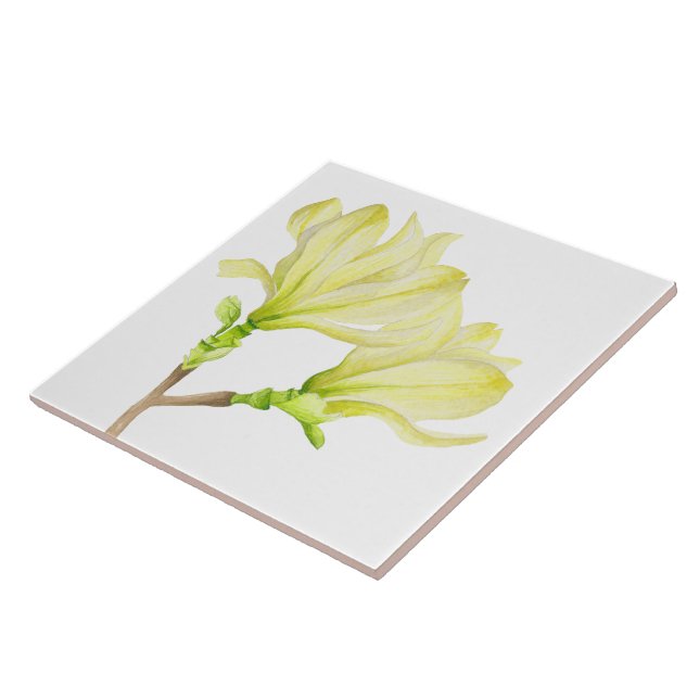 Gult Magnolias on Ceramic Tile (1 W) Kakelplatta (Sidan)