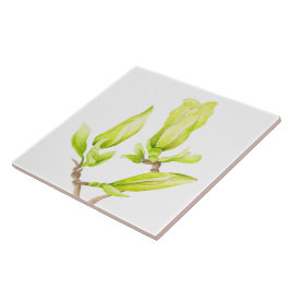 Gult Magnolias på en keramisk platta (2 W) Kakelplatta