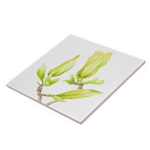 Gult Magnolias på en keramisk platta (2 W) Kakelplatta
