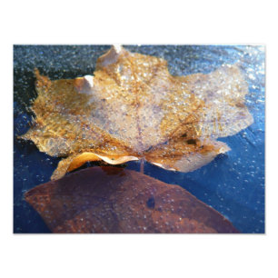 Gult Maple-Löv hösttyp, fryst Fototryck