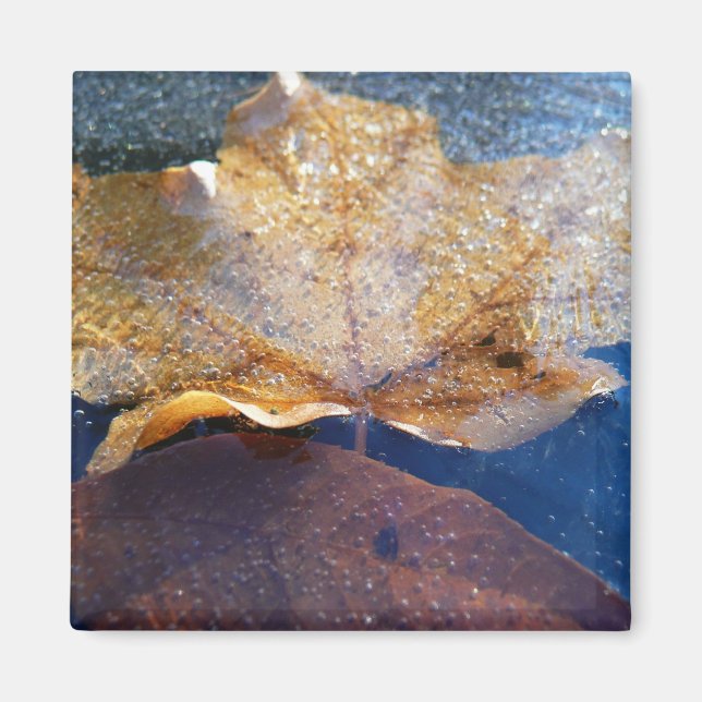 Gult Maple-Löv hösttyp, fryst Magnet (Framsidan)