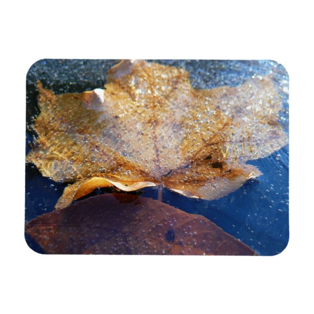 Gult Maple-Löv hösttyp, fryst Magnet (Horisontell)