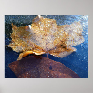 Gult Maple-Löv hösttyp, fryst Poster