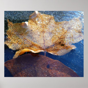 Gult Maple-Löv hösttyp, fryst Poster