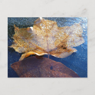 Gult Maple-Löv hösttyp, fryst Vykort