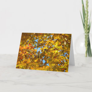 Gult Maple Löv och Blå himmel Kort