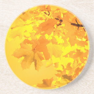 Gult Maple Sandstone Underlägg