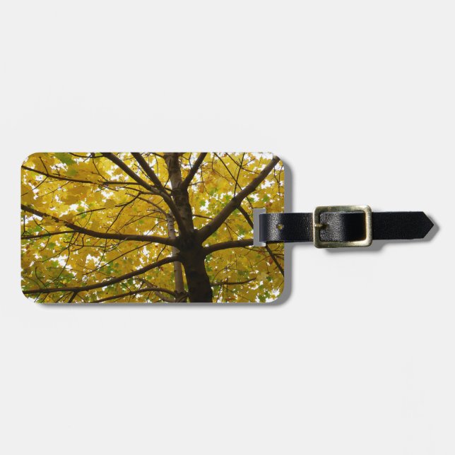 Gult Maple Träd höstnatur Bagagebricka (Horisontell Framsida)