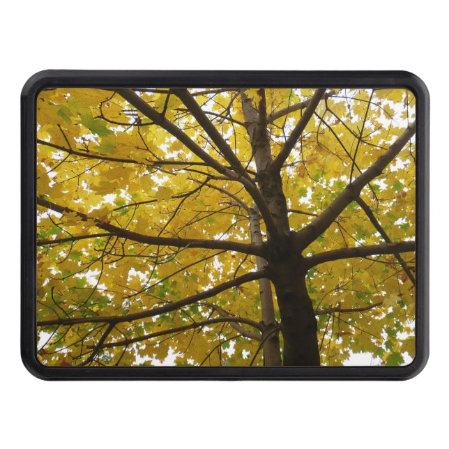 Gult Maple Träd höstnatur Dragkroksskydd (Framsidan)