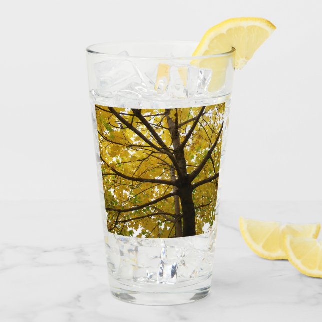 Gult Maple Träd höstnatur Glaskopp (Bakside Is)