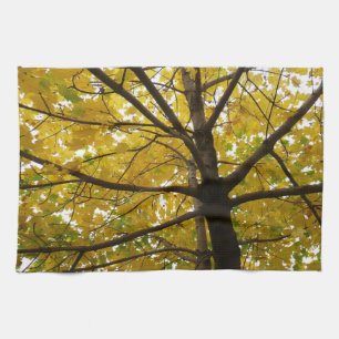 Gult Maple Träd höstnatur Kökshandduk
