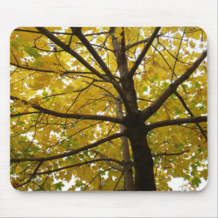 Gult Maple Träd höstnatur Musmatta
