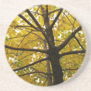 Gult Maple Träd höstnatur Underlägg
